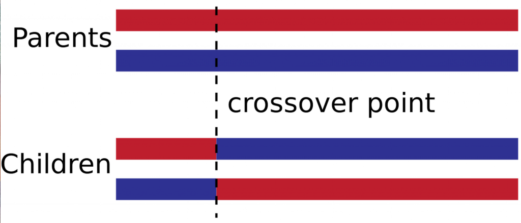 planks_crossover